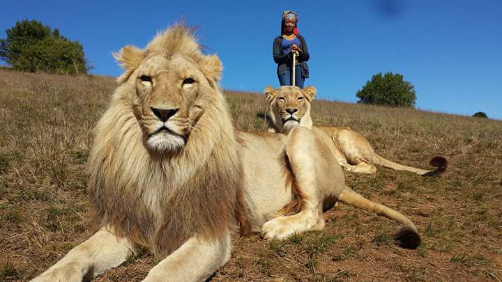 Sunni standing with lions